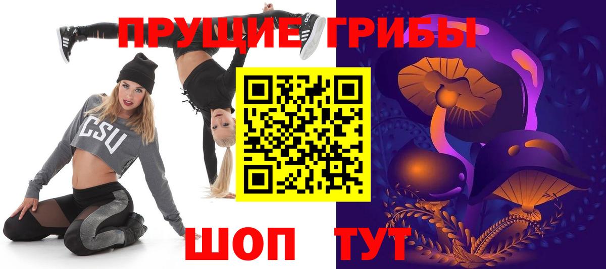 Псилоцибиновые грибы Psilocybe Менделеевск