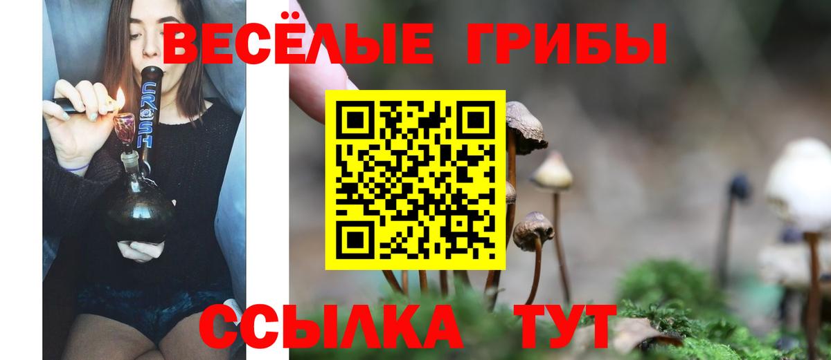Псилоцибиновые грибы Cubensis  Псилоцибиновые грибы прущие грибы  Вход с VPN  Менделеевск 